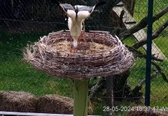 IMG_5788.jpeg