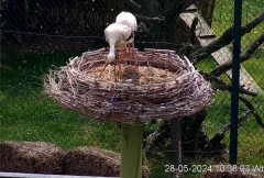 IMG_5790.jpeg