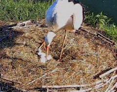 IMG_1697.jpeg