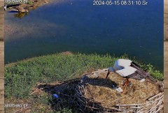 IMG_1796.jpeg