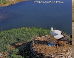 IMG_2514.jpeg