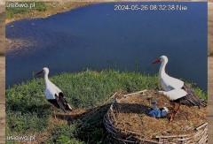 IMG_2515.jpeg