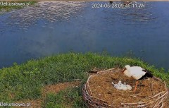 IMG_5743.jpeg