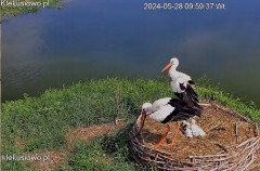 IMG_5768.jpeg