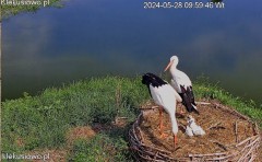 IMG_5770.jpeg
