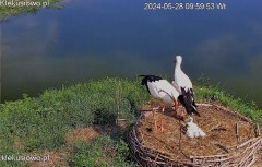 IMG_5772.jpeg