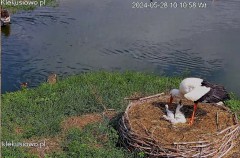 IMG_5781.jpeg