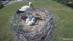 IMG_5794.jpeg