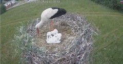 IMG_5800.jpeg