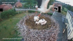 IMG_2503.jpeg
