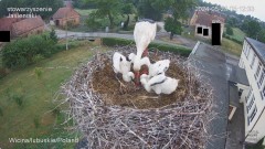 IMG_2505.jpeg