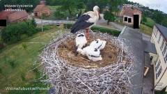 IMG_2655.jpeg