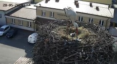 IMG_5934.jpeg
