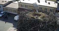 IMG_5935.jpeg