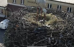 IMG_5936.jpeg