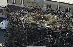 IMG_5937.jpeg