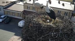 IMG_5972.jpeg