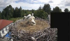 IMG_5818.jpeg