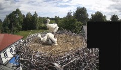 IMG_5830.jpeg