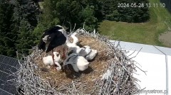 2024-05-28 23_56_09-Bociany Ustroń - transmisja na żywo - YouTube – Maxthon.jpg