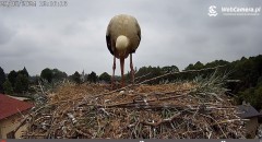 IMG_6313.jpeg