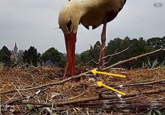IMG_6318.jpeg
