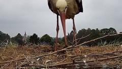 IMG_6322.jpeg