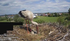 IMG_6442.jpeg