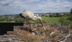 IMG_6446.jpeg