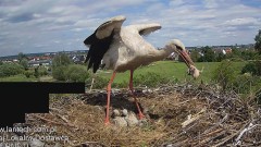 IMG_6449.jpeg