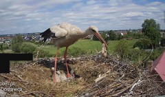 IMG_6450.jpeg