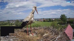 IMG_6471.jpeg