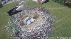 IMG_6364.jpeg