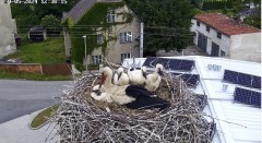 IMG_6291.jpeg