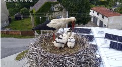 IMG_6495.jpeg