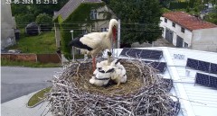 IMG_6517.jpeg