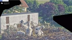 IMG_6589.jpeg