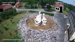 IMG_2802.jpeg