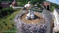 IMG_2882.jpeg
