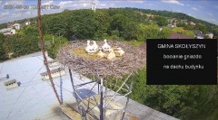 IMG_6953.jpeg