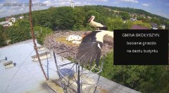 IMG_6957.jpeg