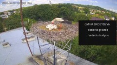 IMG_6958.jpeg