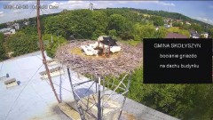 IMG_6963.jpeg