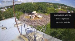 IMG_6966.jpeg