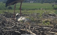 IMG_6809.jpeg