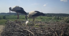 IMG_6815.jpeg