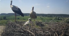 IMG_6820.jpeg