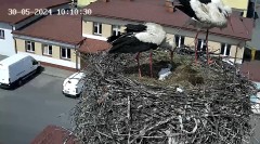 IMG_6708.jpeg