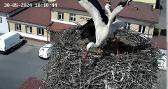 IMG_6710.jpeg