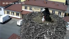 IMG_6727.jpeg